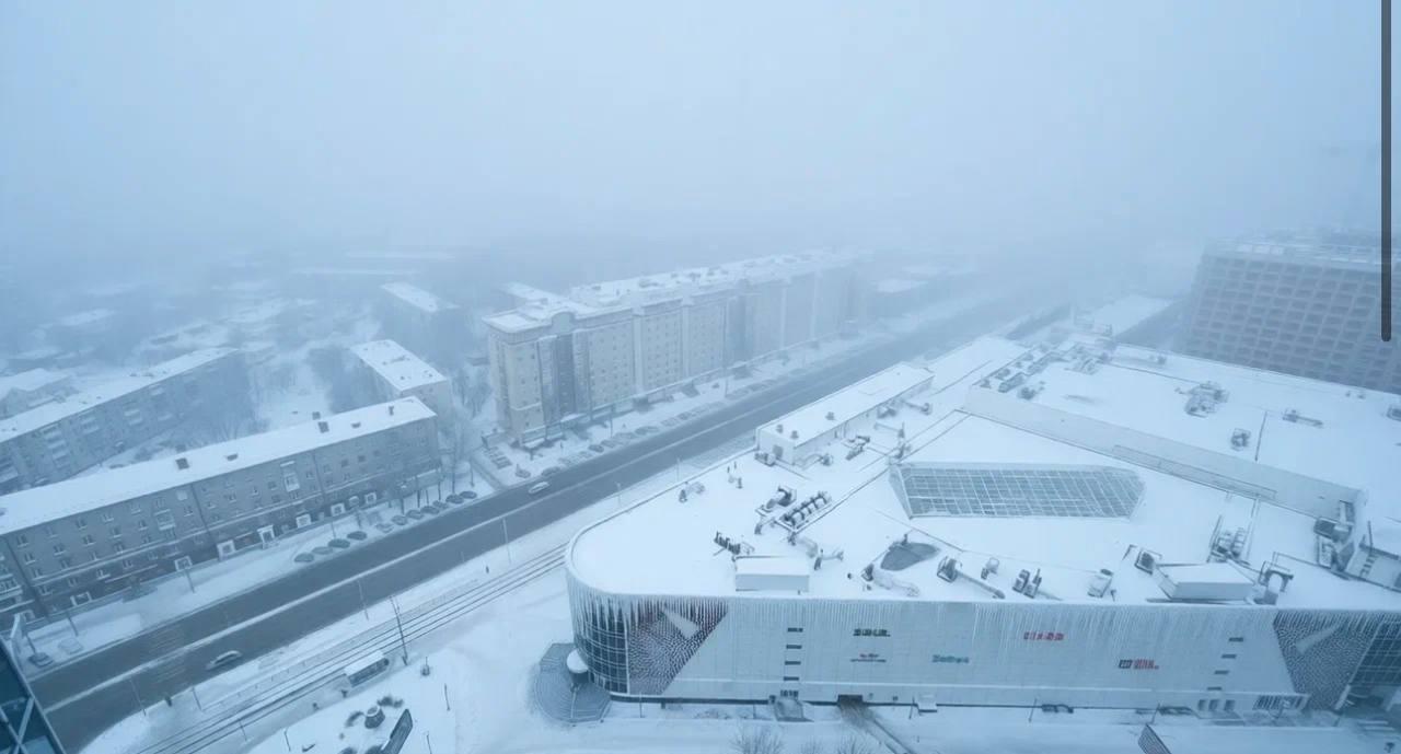 Фото В Новосибирск пришли аномальные морозы: 10 фото, от которых стынет кровь 8